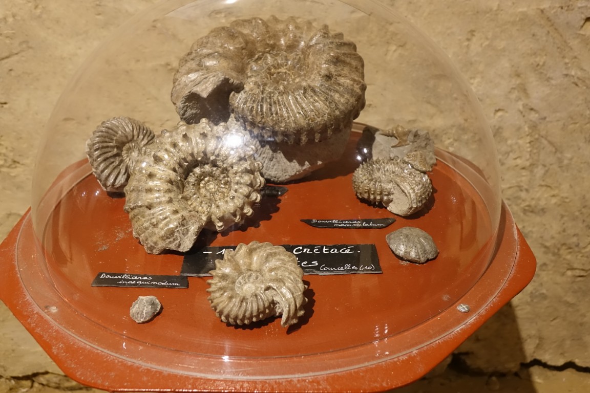 Cave-aux-coquillages03