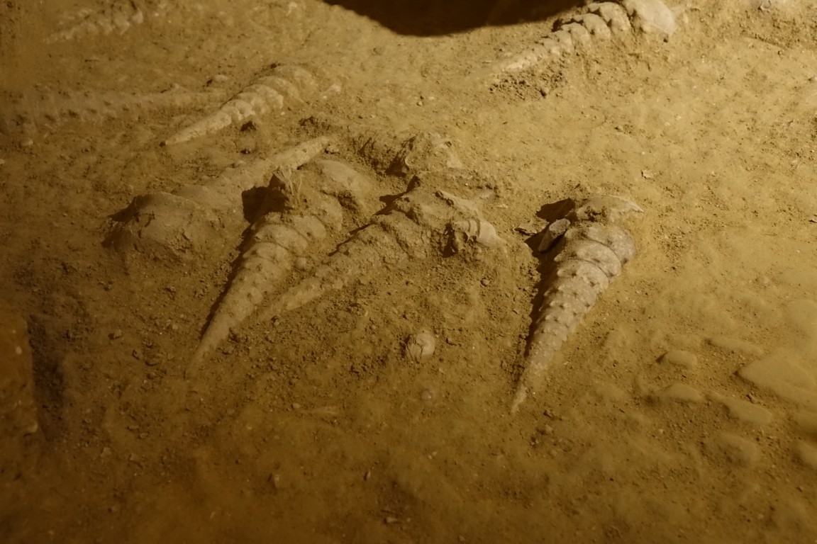 Cave-aux-coquillages13