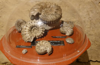 Cave-aux-coquillages03
