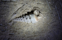 Cave-aux-coquillages08