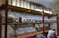 Cave-aux-coquillages16