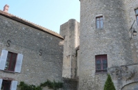 P1150015 (480x640)