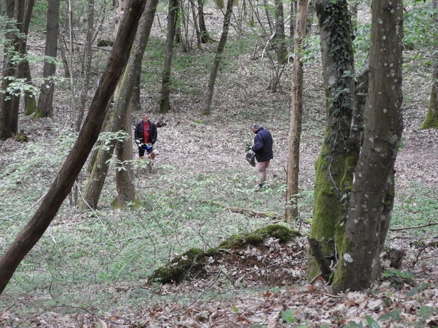 DSCN5782 (640x480)