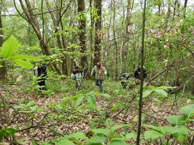 DSCN5787 (640x480)