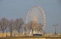 DSC_0099 (800x532) (640x426)