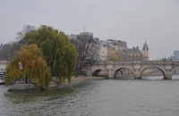 DSC_0105 (800x532) (640x426)