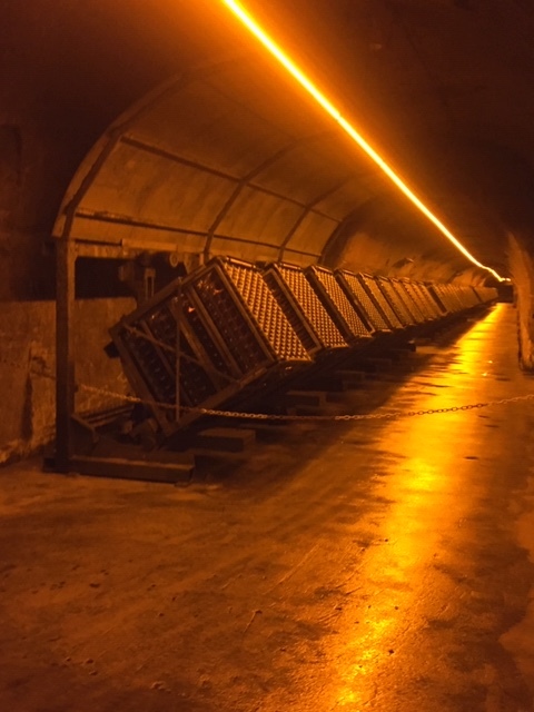 035-480x640