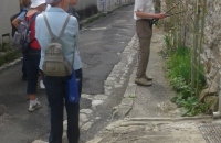 20170804_143620 (384x640)