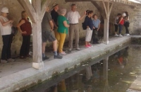 20170804_151109 (384x640)