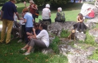 20170804_155842 (384x640)