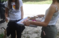 20170804_160711 (384x640)