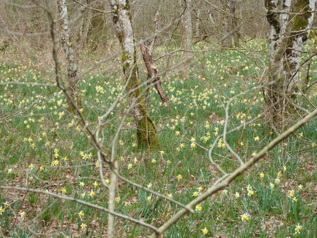 P1140271 (640x480)
