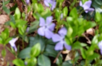 P1140277 (640x480)