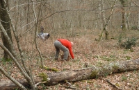 DSCN9985-1024x768