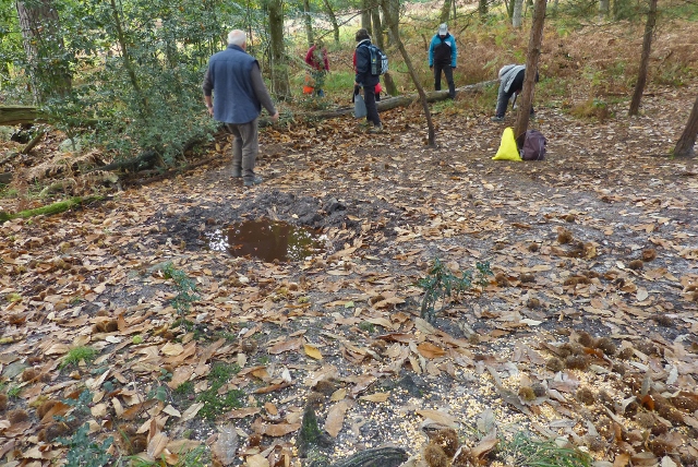 2017-10-06_Rocher Brûlé (1) (640x428)