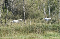 023-1024x768