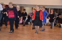 DSC_0117 (640x426)