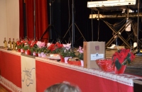 DSC_0120 (640x426)