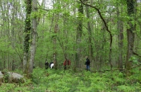 DSCN0434-1024x768