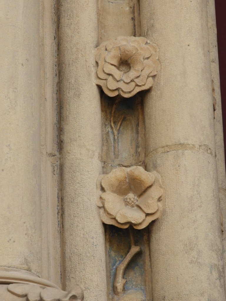 DSCN3592-Moyen