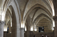 DSCN3534-Moyen