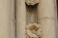 DSCN3592-Moyen