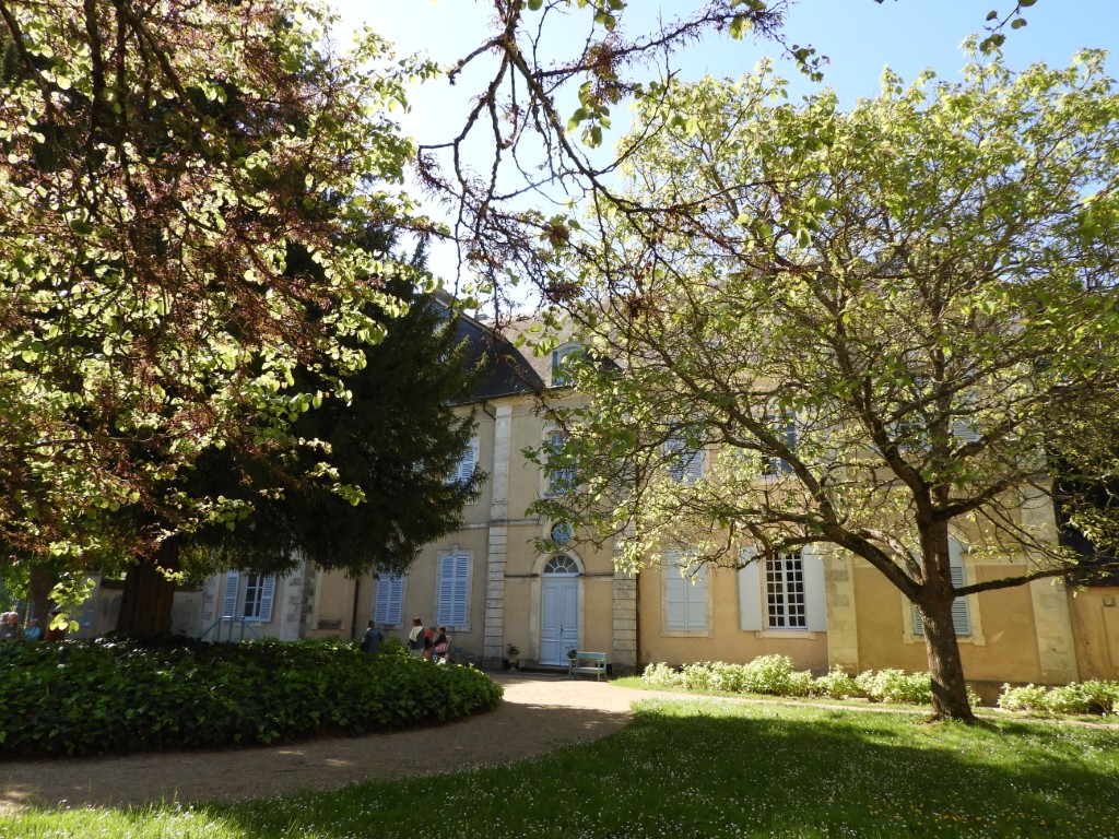 DSCN3249-Moyen