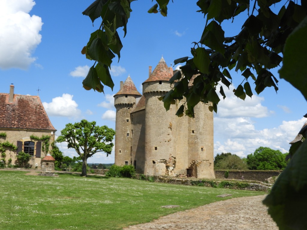 DSCN3298-Moyen
