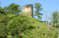 DSCN3425-Moyen