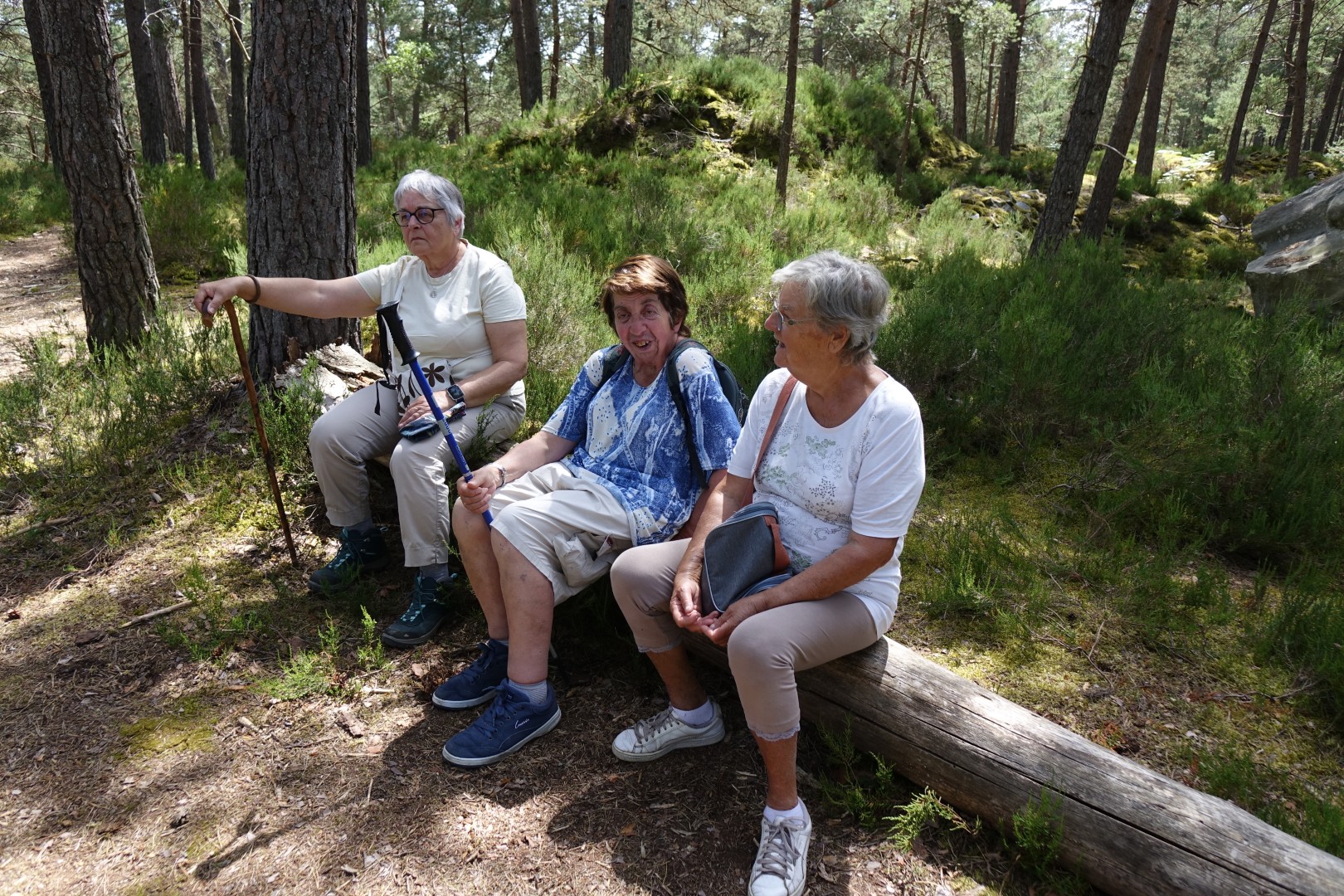 20260615-Balade-rocher-combes07