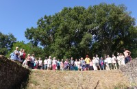 20260727-Tuilerie-Bezanlu06