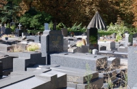 04-1024x683