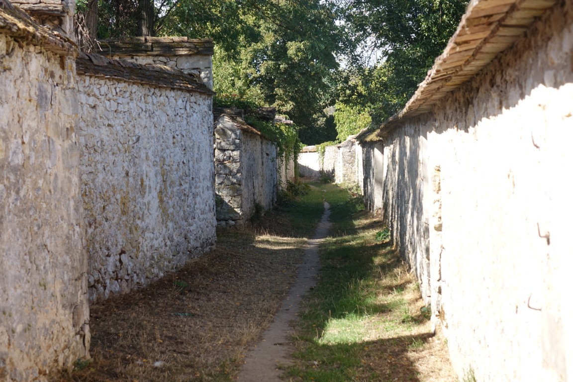 20260907-balade-thomery-longs-sillons04