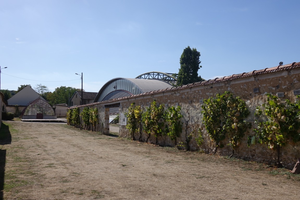 20260907-balade-thomery-longs-sillons07