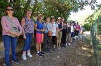 20260907-balade-thomery-longs-sillons01