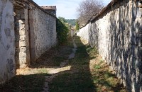 20260907-balade-thomery-longs-sillons03