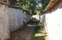 20260907-balade-thomery-longs-sillons04