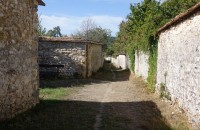 20260907-balade-thomery-longs-sillons05