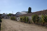 20260907-balade-thomery-longs-sillons07