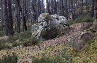 DSCF1375-Moyen