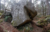 DSCF1378-Moyen