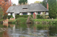 11-Moyen