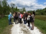 Découverte des marais d'Episy le 17 mai 2019