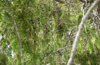 DSCN5804 (640x480)