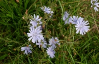 025-1024x683