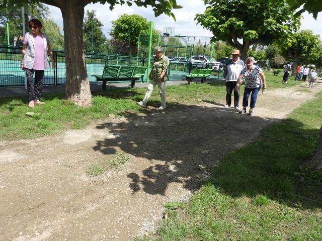 DSCN4487-Petit