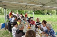 DSCN4474-Petit
