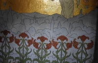 DSCN7579-768x1024