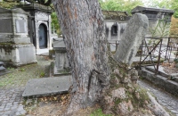 DSCN7586-1024x768