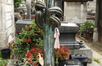 DSCN7620-768x1024